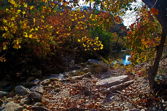 Fall in Austin, TX
