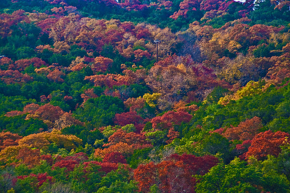 Fall in Austin, TX
